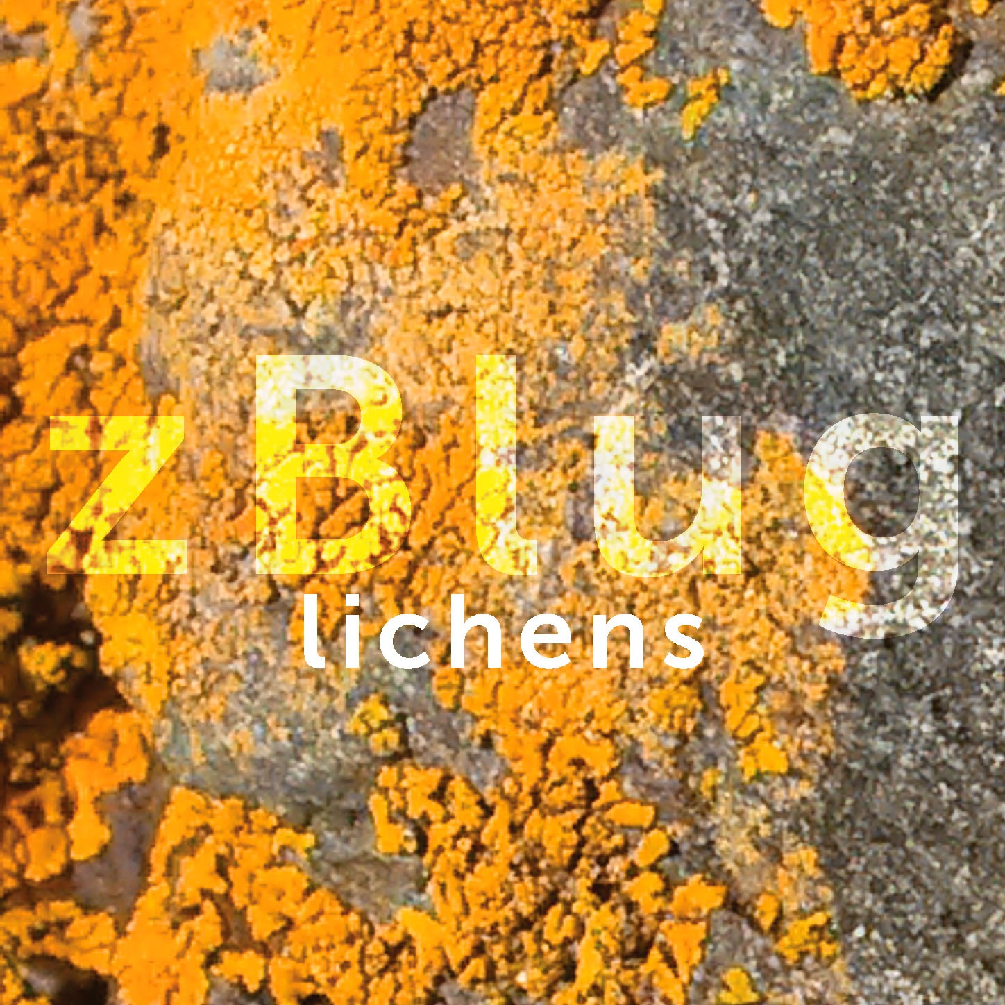 zBlug Lichens chez Elektramusic