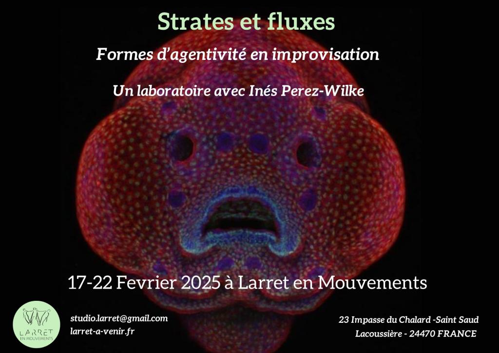 17 au 22 février. Strates & Fluxes. Info en https://larret-a-venir.fr/208077-2/