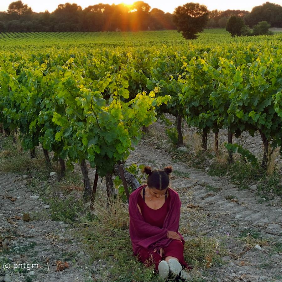 WINEYARD SUNSET, Performance avex Werner Puntigam et Raphael Zweifel